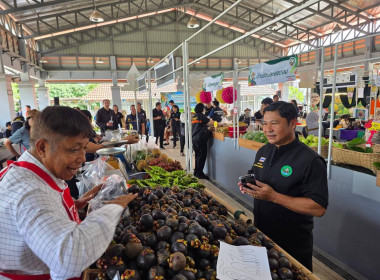“รมช.เกษตร” ปักหมุดตลาดเกษตรกรเชียงราย หนุนบริโภคผลไม้ไทย ... พารามิเตอร์รูปภาพ 34